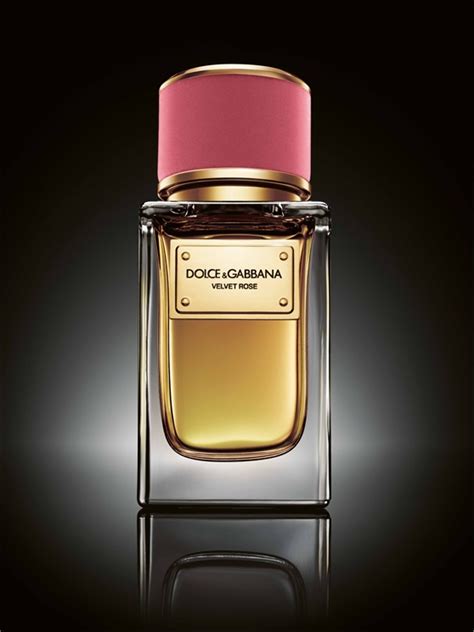 parfum desire dolce gabbana|velvet rose dolce and gabbana.